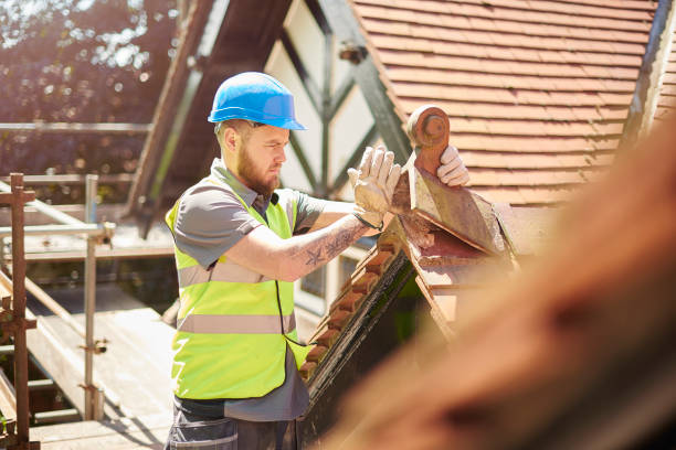 Best Roof Gutter Cleaning  in Gig Harbor, WA